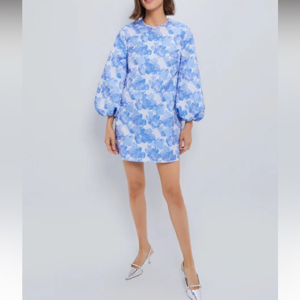 Tuckernuck Blue Floral Mini Dress
